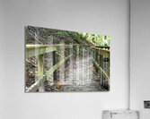 The trail of life Acrylic Print