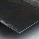 Enjoying the View Metal print