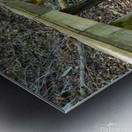 The trail of life Metal print