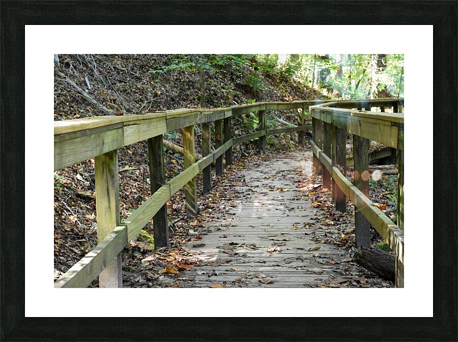 The trail of life Picture Frame print