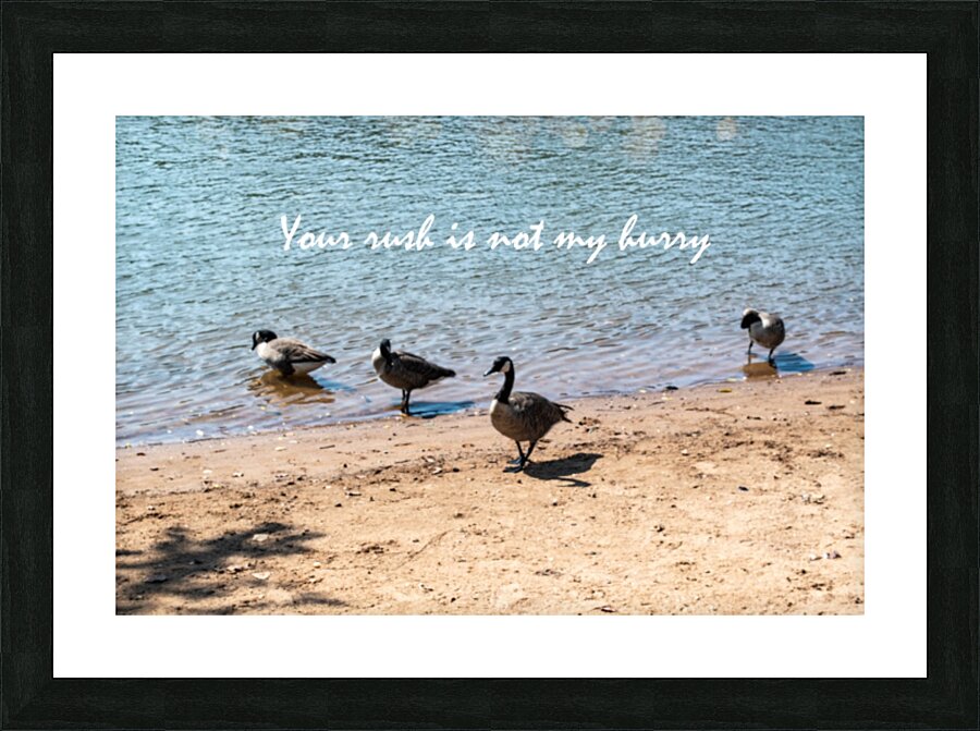 Your Rush Picture Frame print