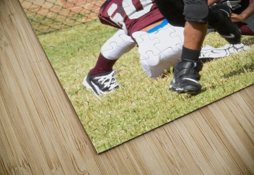 You Can t Stop Me Robert Campbell puzzle