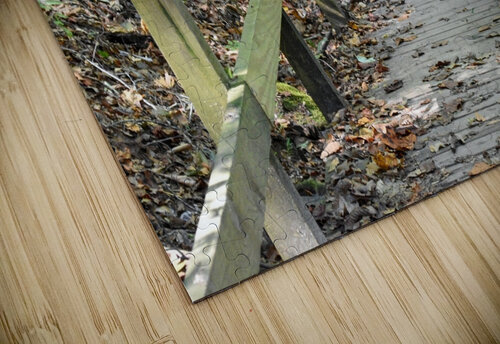 The trail of life Robert Campbell puzzle