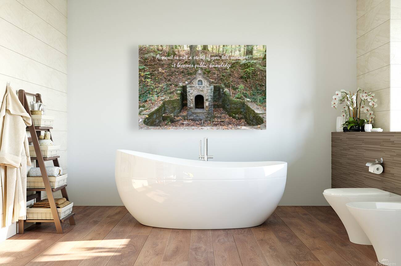 A Secret Reproduction