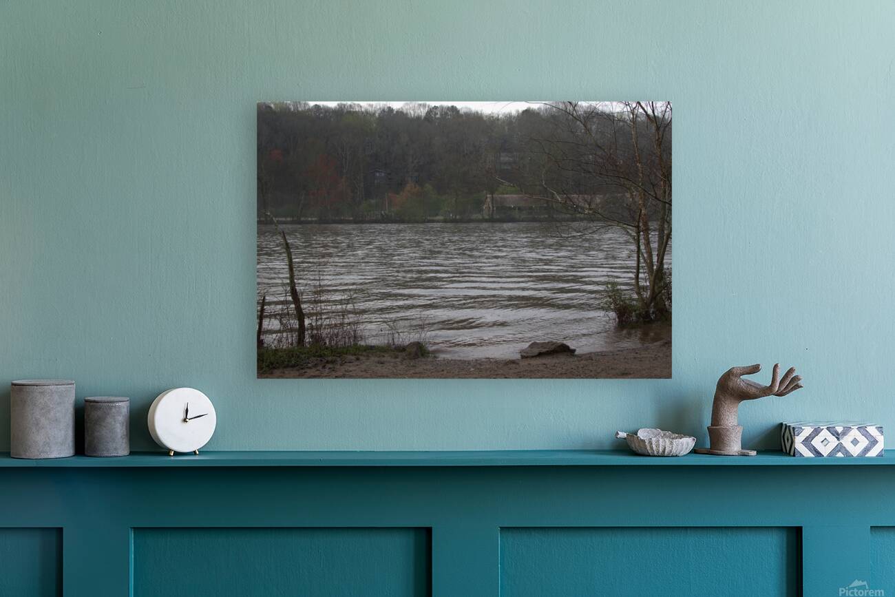 Enjoying the View Reproduction