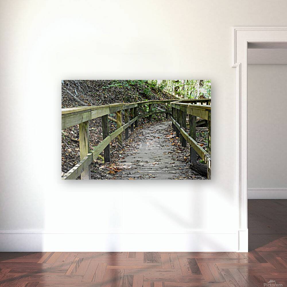 The trail of life Reproduction