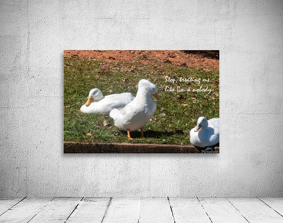 Ducks gathering together discussing Wall Preview