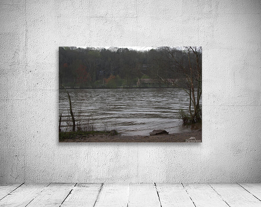 Enjoying the View Wall Preview