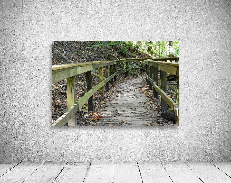 The trail of life Wall Preview