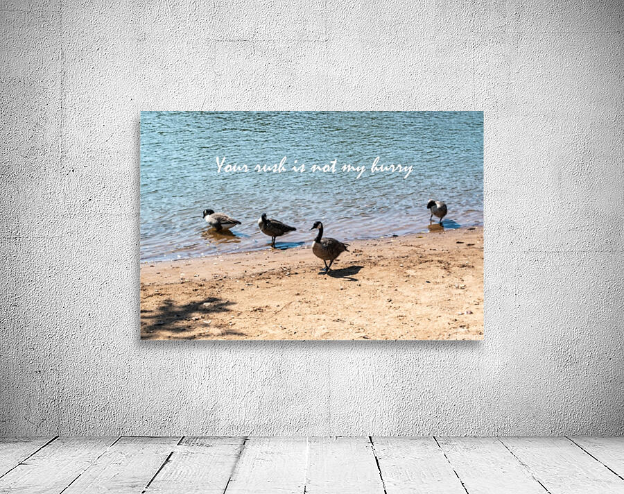 Your Rush Wall Preview