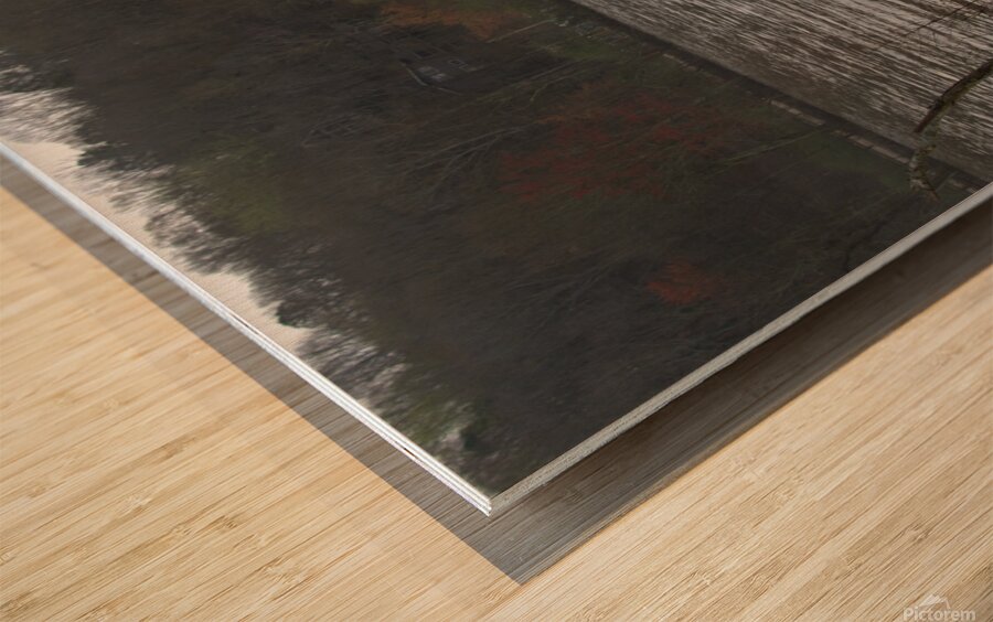 Enjoying the View Wood print