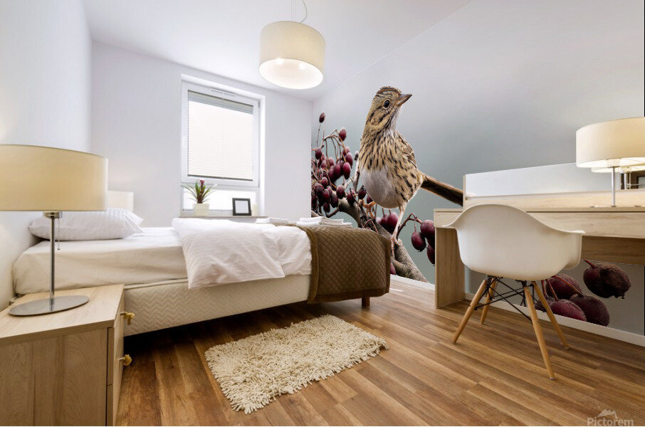 Lincoln Sparrow Mural print