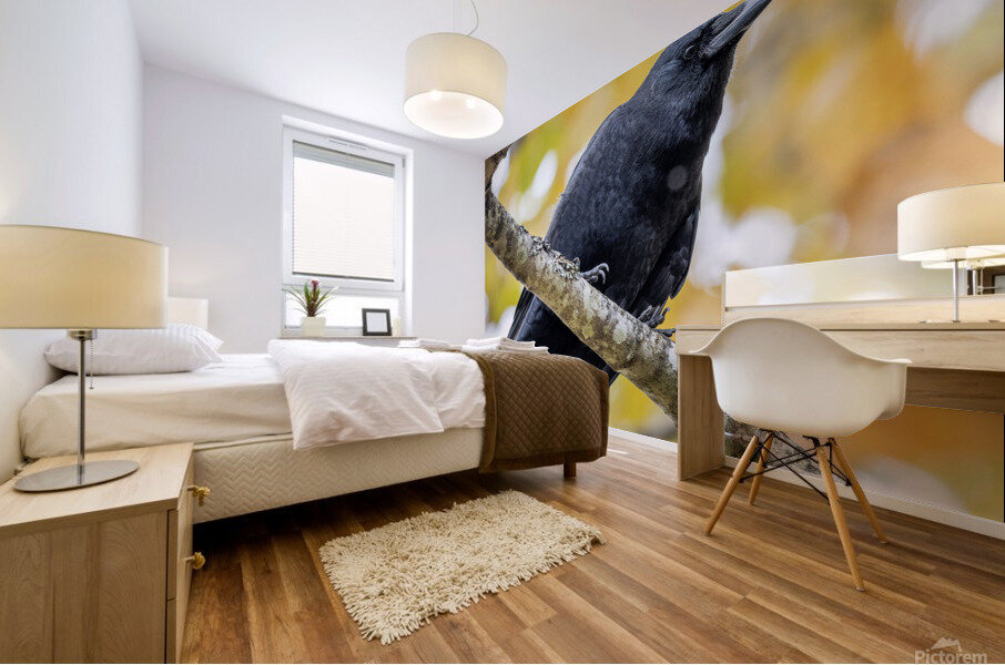 Crow Mural print