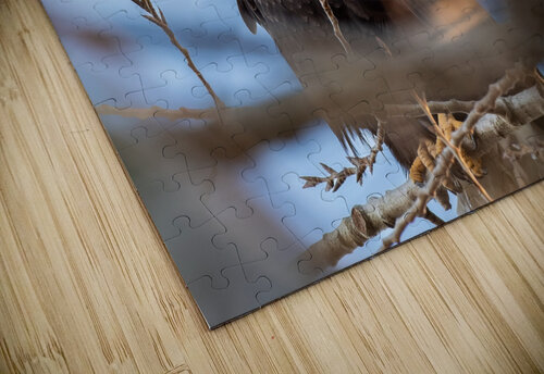 Bald Eagle Couple Hart Parnell puzzle