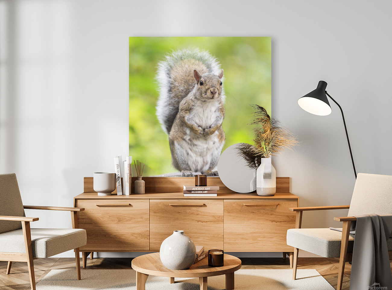 Eastern Grey Squirrel Reproduction