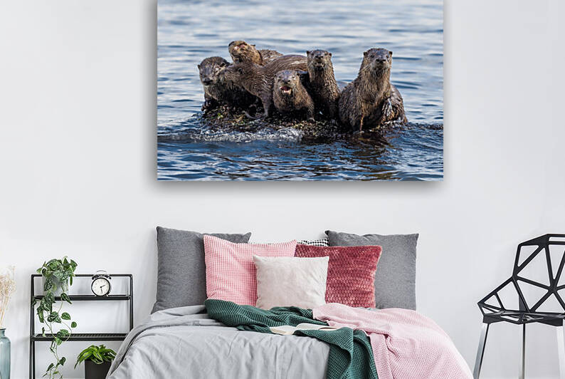 River Otters by Hart Parnell