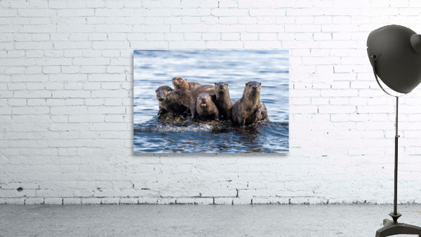 River Otters Wall Preview