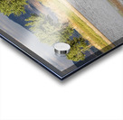 Wild Horse Reaching For Water Acrylic print