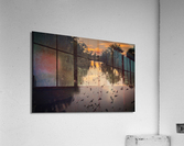Bats Migrating at Sunset Acrylic Print