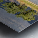 Wild Horse Reaching For Water Metal print