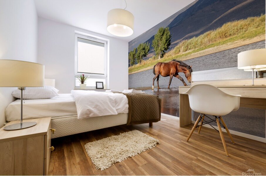 Wild Horse Reaching For Water Mural print