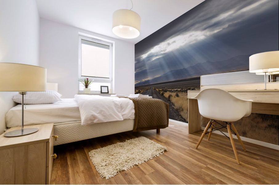 Sunrays Over Rural Nevada Mural print