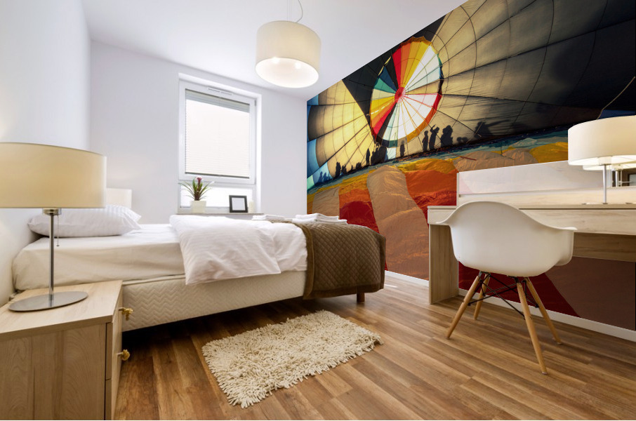 Shadows in a Balloon Mural print
