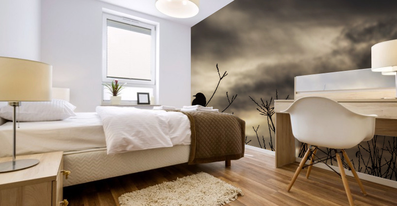 Resting Bird at Sunset Mural print