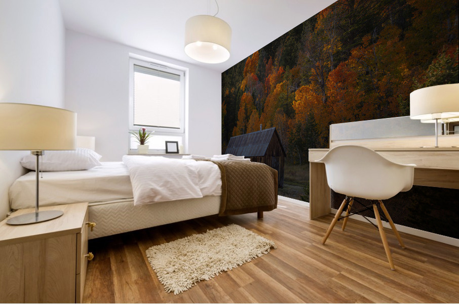 Trees and a Cabin Mural print