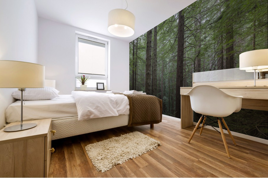 Coastal Forest Trees Mural print