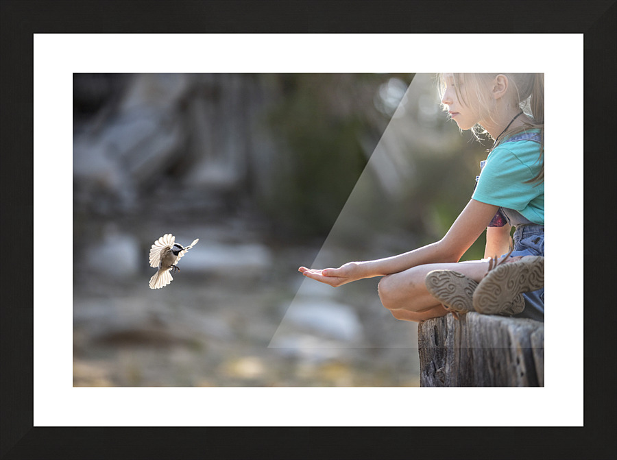 The Sweetest Bird Picture Frame print