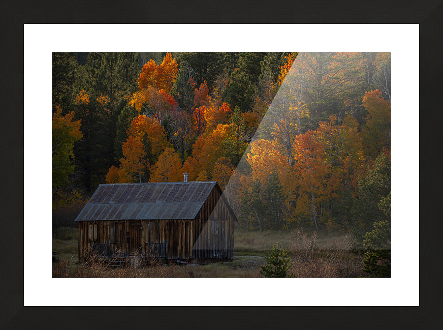 Trees and a Cabin Picture Frame print