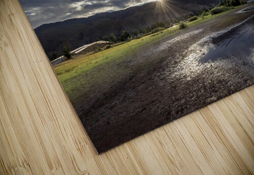 Sunset at Waters Edge Evan Petty Photography puzzle
