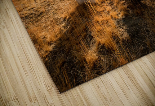 Old Washoe Cemetery Evan Petty Photography puzzle