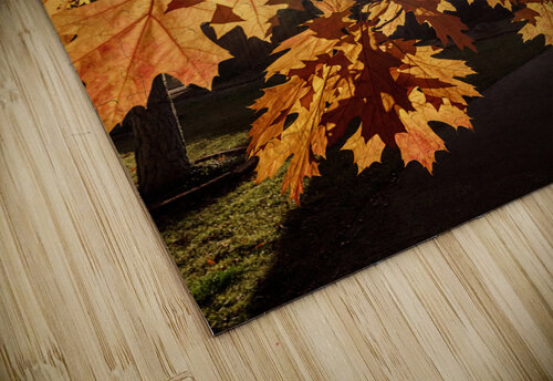 Oak Tree Leaves with Sunlight Evan Petty Photography puzzle