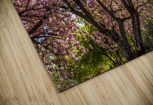Blossom Tree Evan Petty Photography puzzle
