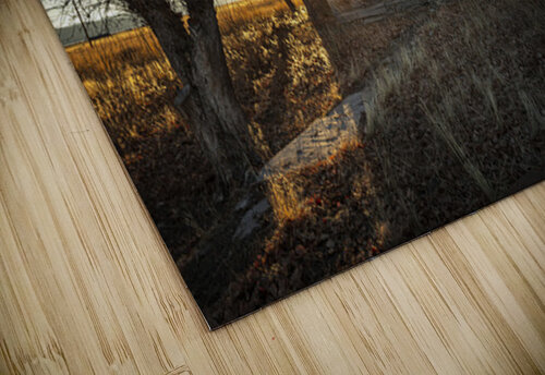 Ghost Ranch House Evan Petty Photography puzzle