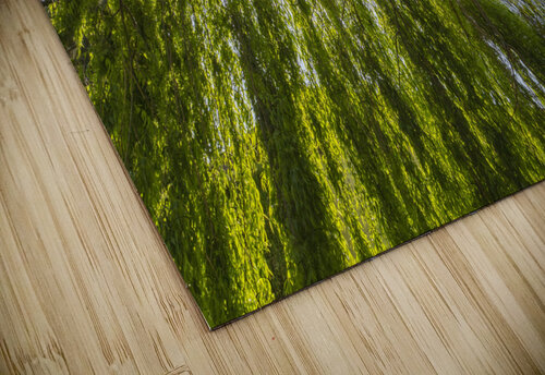 Under A Weeping Willow Tree Evan Petty Photography puzzle