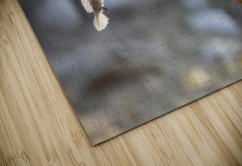 The Sweetest Bird Evan Petty Photography puzzle