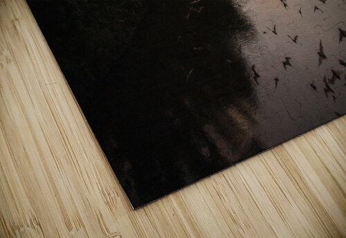 Bats Migrating at Sunset Evan Petty Photography puzzle