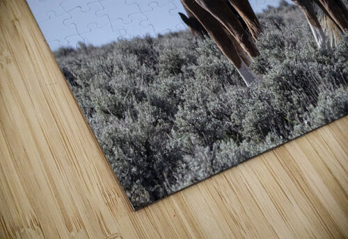 Wild Horse Lineup Evan Petty Photography puzzle