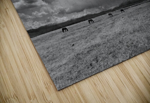 Wild Horses and Storm Clouds Evan Petty Photography puzzle