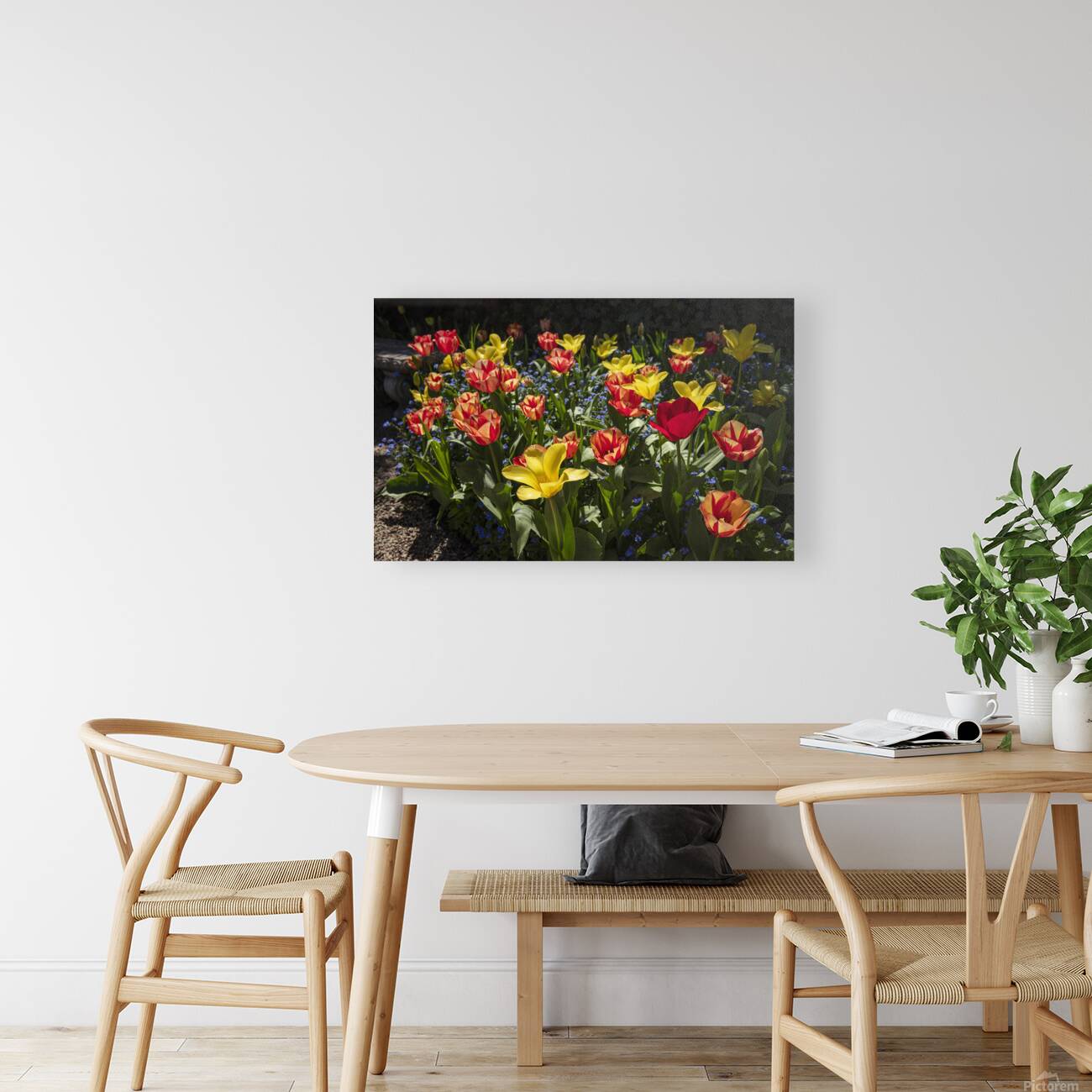 Tulip Flowers Reproduction