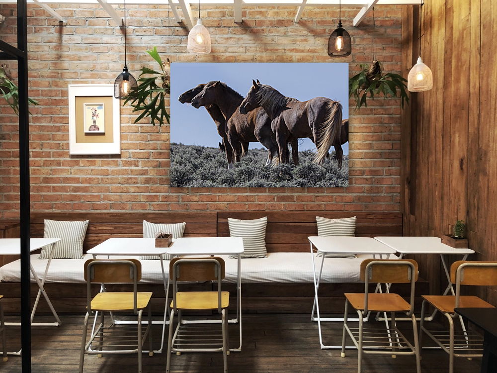 Wild Horse Lineup Reproduction
