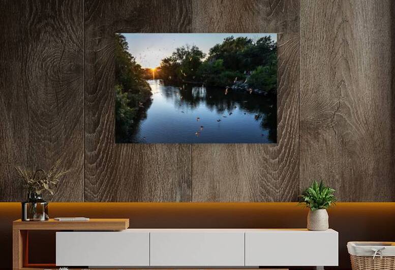 Bats over Truckee River by Evan Petty Photography