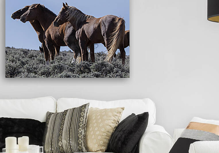 Wild Horse Lineup Reproduction
