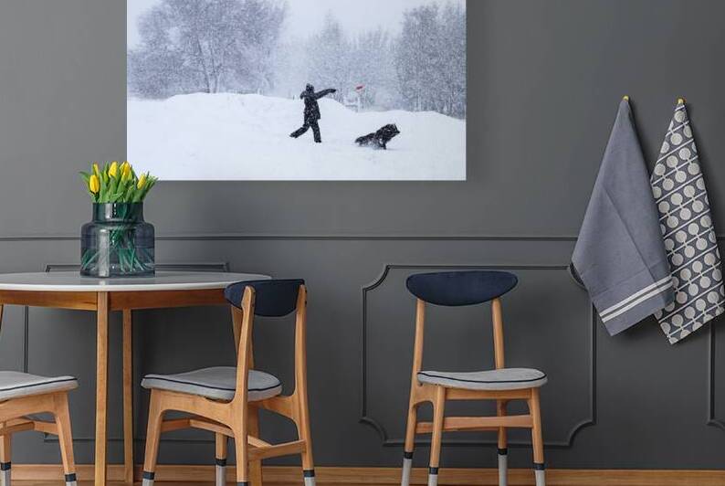 Snowstorm Frisbee Chase by Evan Petty Photography
