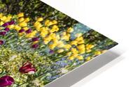 Tulip Hill HD Metal print