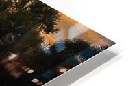 Bats Migrating at Sunset HD Metal print