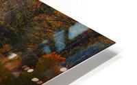 Trees and a Cabin HD Metal print